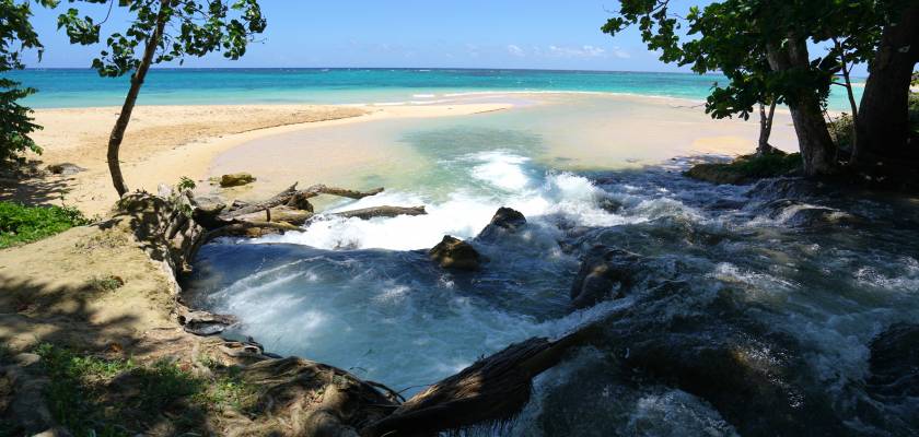 Image result for river meets sea jamaica